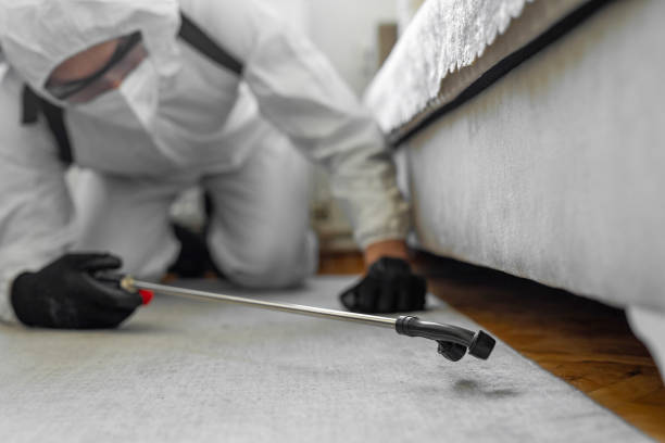 Professional Pest Control technician working in Georgia, GA