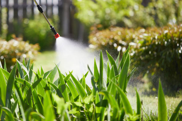 24/7 Emergency Pest Control experts in Georgia, GA