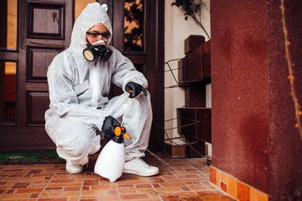 Reliable Pest Control contractor in Georgia, GA by Show Me Pest Control